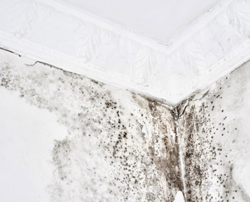 6 Steps to take if you have Water Damage