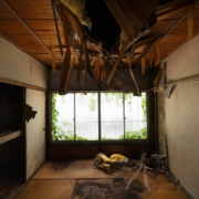 Helpers Disaster Restoration | 6 Steps to take if you have Water Damage