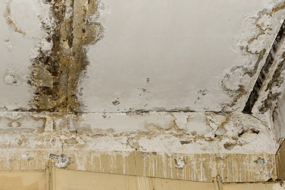 The Costs of Water Damage Restoration in Aspen, CO