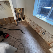 Helpers Disaster Restoration | At What Humidity Level Does Black Mold Start to Grow?