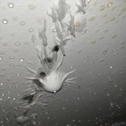 Water Damage Cleanup Company in Aspen | Helpers Restoration