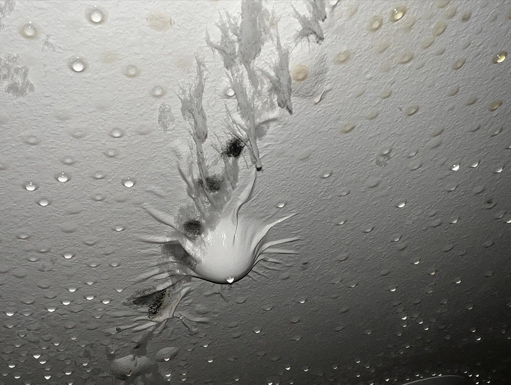 Water-Damage-Cleanup-Aspen-11 Water Damage Aspen - Restoration, Repair and Cleanup Services