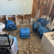 Carpet cleaning services – Disaster Masters Restoration – Safford, AZ 2