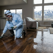 Flood Damage Cleanup Carbondale: Fast, Local Restoration Help
